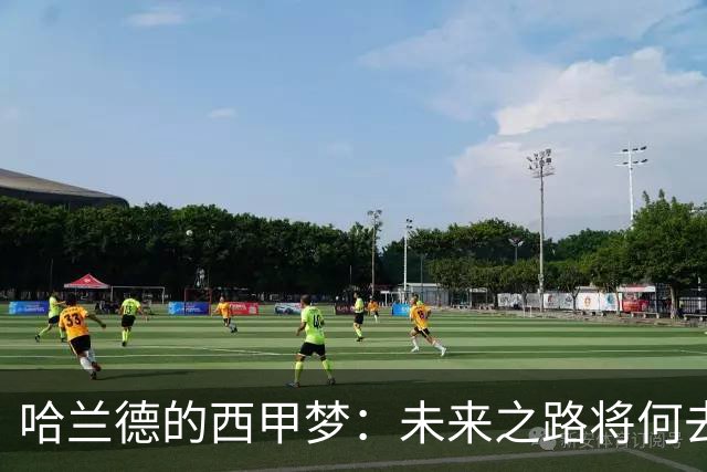 哈兰德的西甲梦：未来之路将何去何从？