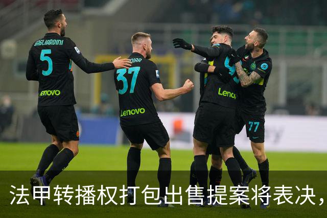 法甲转播权打包出售提案将表决，自营平台年入不足9000万欧